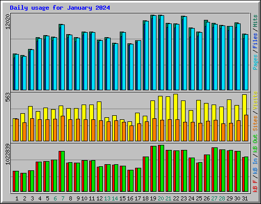 Daily usage for January 2024