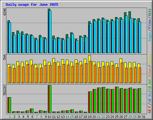 Daily usage for June 2025