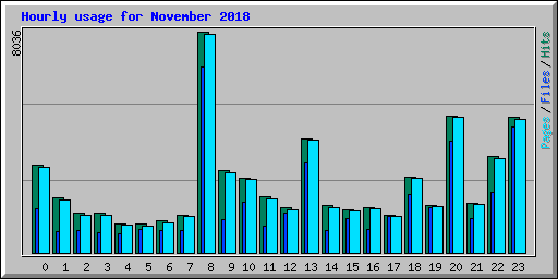 Hourly usage for November 2018