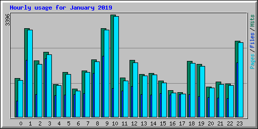 Hourly usage for January 2019