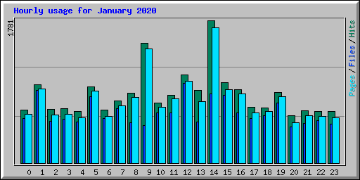 Hourly usage for January 2020