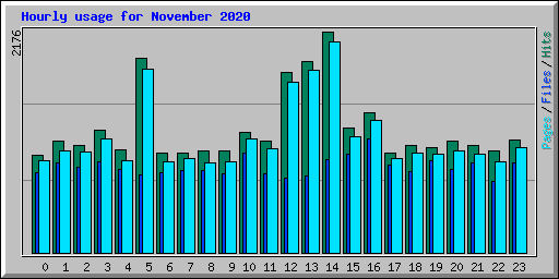 Hourly usage for November 2020