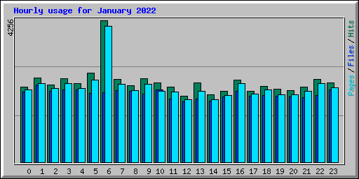 Hourly usage for January 2022
