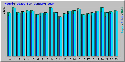 Hourly usage for January 2024