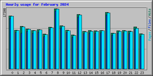 Hourly usage for February 2024