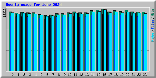 Hourly usage for June 2024