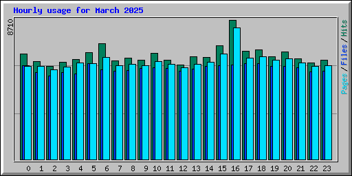 Hourly usage for March 2025
