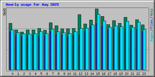 Hourly usage for May 2025