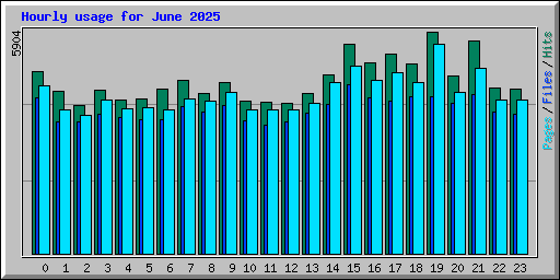 Hourly usage for June 2025