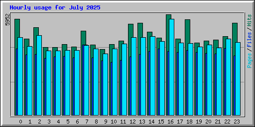 Hourly usage for July 2025