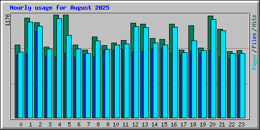 Hourly usage for August 2025