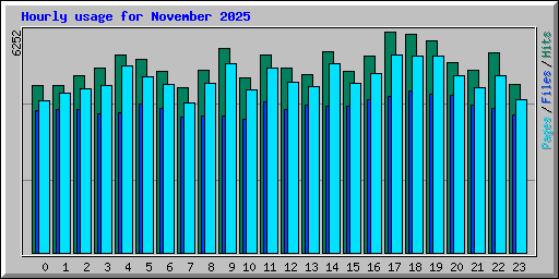 Hourly usage for November 2025