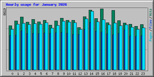 Hourly usage for January 2026