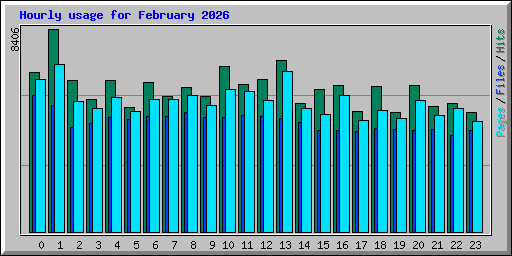 Hourly usage for February 2026